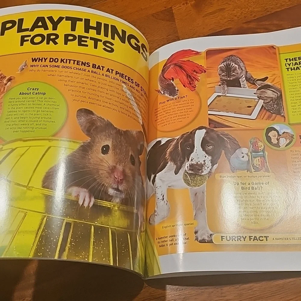 National Geographic Kids Everything Pets Book - Yellow Cover